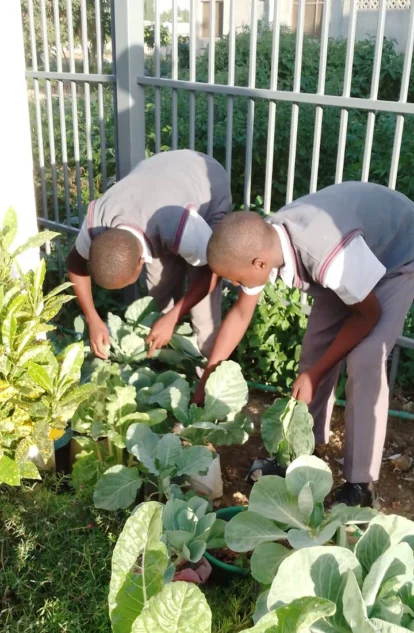 Utilising the small area beside the school