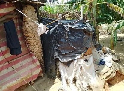 The open pit toilet