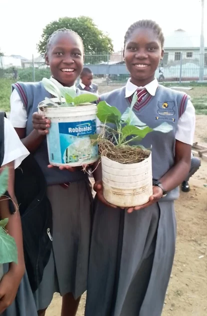 Crops being grown in pots on the school roof