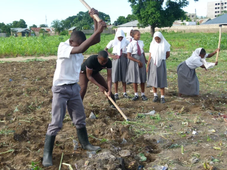 Cultivating the hard and dry ground